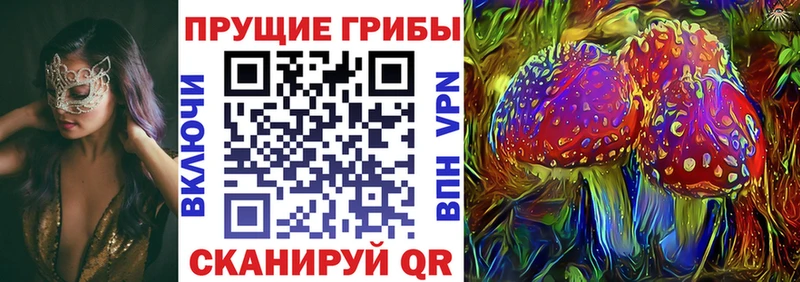 mega зеркало  Арзамас  Галлюциногенные грибы Psilocybine cubensis  сколько стоит 